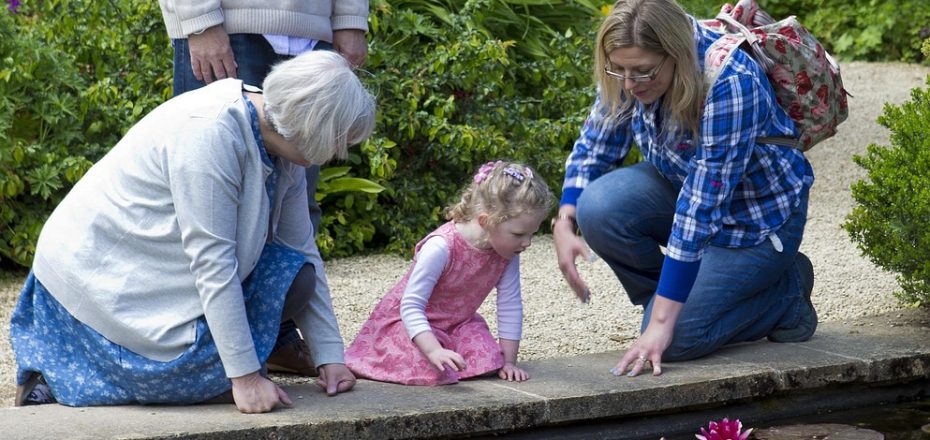 lilly-pond-805207_1280